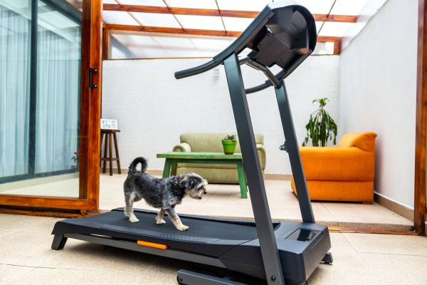 Cost of Treadmill Installation in Toms River