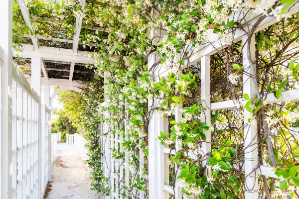 Cost of Trellis Repair in Toms River