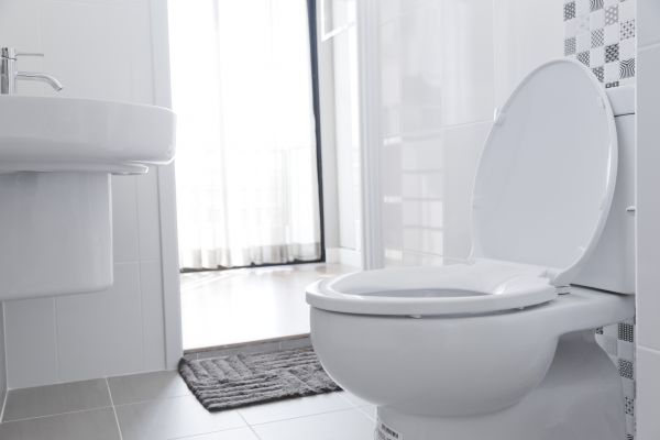 Cost of Toilet Seat Installation in Toms River