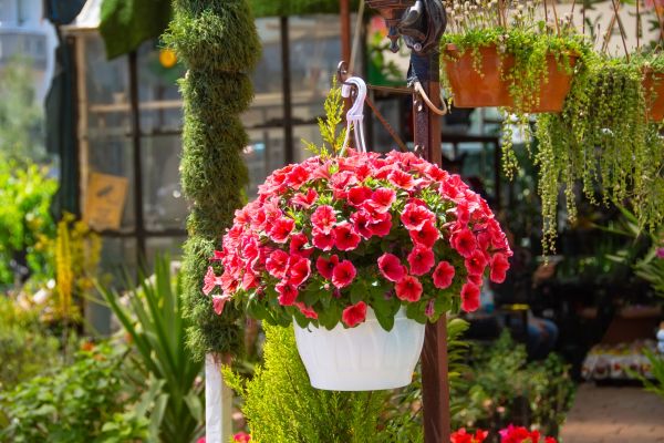 Cost of Hanging Planter Installation in Toms River