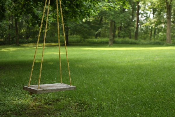 Rope Swing Installation