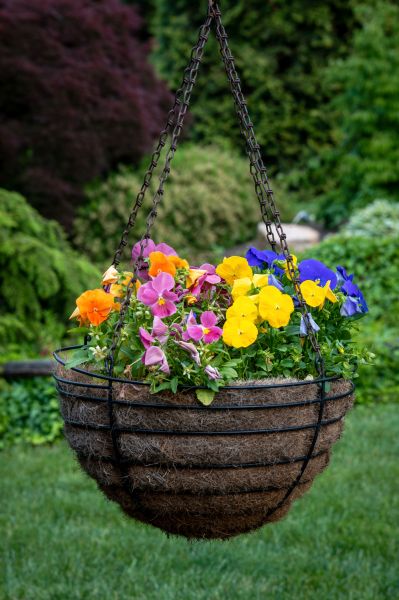 Cost of Hanging Basket Installation in Toms River
