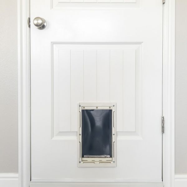 Cost of Pet Door Repair in Toms River