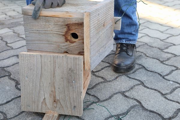 Cost of Birdhouse Mounting in Toms River