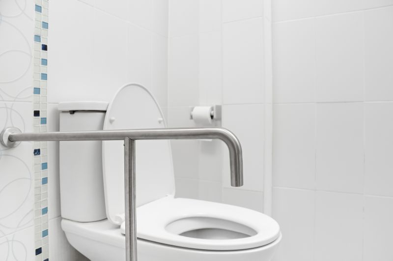 Toilet Grab Bars Installation